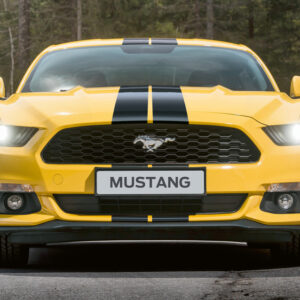 Mustang Garage Bucuresti, service auto Bucuresti, service auto Sector 2, service Ford Mustang Bucuresti, reparatii Ford Mustang Bucuresti, service auto Ford Bucuresti, mecanica auto Bucuresti, electrică auto Bucuresti, diagnoza auto Bucuresti, reparatii motoare Bucuresti, intretinere auto Bucuresti, service masini Bucuresti, service auto profesional Bucuresti, service auto Sector 2 Bucuresti, reparatii auto Sector 2, schimb ulei Bucuresti, verificari tehnice auto Bucuresti, service transmisie Bucuresti, service frane Bucuresti, service suspensii Bucuresti, service auto masini americane Bucuresti, service auto masini import Bucuresti, unde repar auto Bucuresti, atelier auto Bucuresti, service auto aproape de mine Bucuresti, mustang garage contact, mustang garage adresa, service auto de incredere Bucuresti, garaj auto Bucuresti, service auto dedicat Ford Mustang Bucuresti