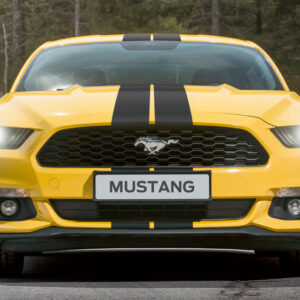 Mustang Garage Bucuresti, service auto Bucuresti, service auto Sector 2, service Ford Mustang Bucuresti, reparatii Ford Mustang Bucuresti, service auto Ford Bucuresti, mecanica auto Bucuresti, electrică auto Bucuresti, diagnoza auto Bucuresti, reparatii motoare Bucuresti, intretinere auto Bucuresti, service masini Bucuresti, service auto profesional Bucuresti, service auto Sector 2 Bucuresti, reparatii auto Sector 2, schimb ulei Bucuresti, verificari tehnice auto Bucuresti, service transmisie Bucuresti, service frane Bucuresti, service suspensii Bucuresti, service auto masini americane Bucuresti, service auto masini import Bucuresti, unde repar auto Bucuresti, atelier auto Bucuresti, service auto aproape de mine Bucuresti, mustang garage contact, mustang garage adresa, service auto de incredere Bucuresti, garaj auto Bucuresti, service auto dedicat Ford Mustang Bucuresti